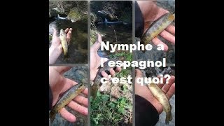 Nymphe a lespagnole montage et explications [upl. by Popper]