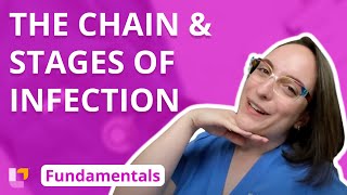 The Chain and Stages of Infection  Fundamentals of Nursing  Principles  LevelUpRN [upl. by Nele]