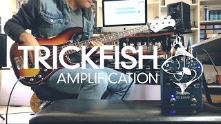 Trickfish Amplification Minnow  Leslie Johnson Demo [upl. by Irbua]