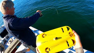 New Underwater Drone Finds Fish and Shows How They Eat [upl. by Audrye]