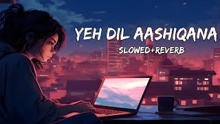 yeh Dil aashiqana   slowed  reverb  Lofi song  Kumar sanu amp alka yagnik  accede Music [upl. by Jeanna]