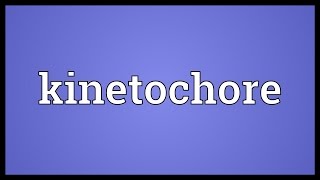 Kinetochore Meaning [upl. by Zalea]