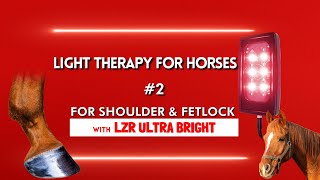 Equine Light Therapy 2  How to treat Horse Shoulder and Fetlock with LZR Ultrabright LED [upl. by Ahsinav]