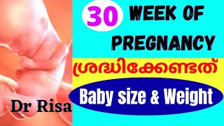 30 Weeks Of Pregnancy Malayalam  Pregnancy Week by Week [upl. by Checani]