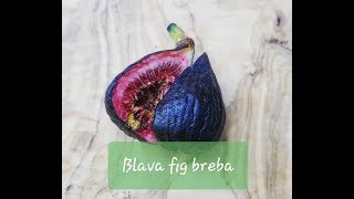 Tasting the Blava Fig 2018 [upl. by Coward]