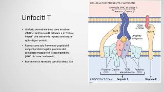 1 Patologia generale Il Sistema Immunitario lezione 1 [upl. by Lockhart42]