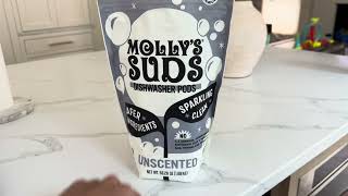 Mollys Suds Dishwasher Pods Review [upl. by Nava]