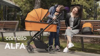 Universal stroller 2 in 1 Carrello Alfa CRL6507 [upl. by Debora710]