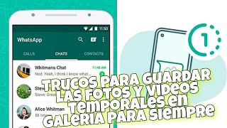 Descarga Vídeos de Grupos y Canales PRIVADOS [upl. by Schoenburg]