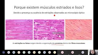 Organização da fibra muscular [upl. by Nekcarb645]