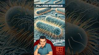 Pili amp Fimbriae  Biological Classification  Kingdom Monera  Class 11th  NEET BIOLOGY  neet [upl. by Les]