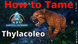 Ark Survival Ascended Thylacoleo How to tame Thylacoleo Ark Best way to tame thylacoleo [upl. by Eadrahc818]