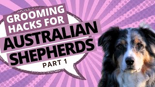 How to Groom an Australian Shepherd StepbyStep Grooming Guide  Part 1 [upl. by Akinet]