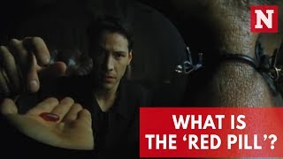 What is The Red Pill [upl. by Sucramrej]