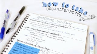 how to take organized notes amp study effectively  christylynn [upl. by Hyacinthia]