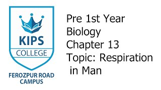 Respiration in Man  1st Year Biology  Chapter No 13 [upl. by Allehcim]