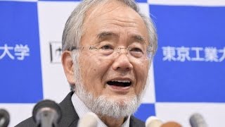 Nobel de Medicina para japonés especializado en autofagia [upl. by Yrokcaz230]