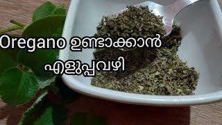 Homemade Oregano Seasoning  Oregano ഉണ്ടാക്കാൻ എളുപ്പവഴി  Toppings Recipe [upl. by Arorua]