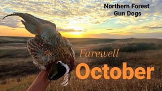 Farewell October SharptailsHunsPheasants [upl. by Marelya366]