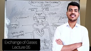 Breathing and Exchange of Gases  lecture 05 Class 11  Neet Ncert Biology  GauravSinghania0003 [upl. by Akanke234]