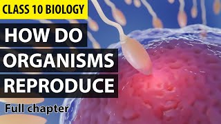 How Do Organisms Reproduce Class 10 Full Chapter Animation  Class 10 Science Chapter 8  NCERT [upl. by Eiramanad773]