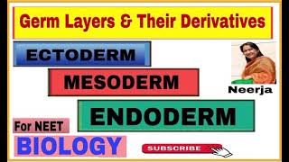 Derivatives of germ layers  Ectoderm  Mesoderm  Endoderm Biology  NEET  by Neerja [upl. by Ydnic]