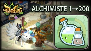 MÉTIER ALCHIMISTE 1 → 200  Gryfox DOFUS [upl. by Ginzburg]