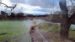 Afternoon walk in Hellyer Park SJ CA 01032024 [upl. by Island]