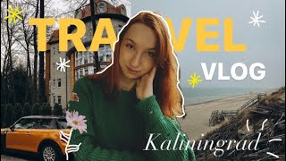 TRAVEL VLOGпоездка в Калининград Балтийское море 3 дня где побывать путешествие с парнем [upl. by Initirb]