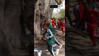 Bhagamoyo Baobab Tree Long life Run Baby Run around the Tree 🥰 [upl. by Shirline290]