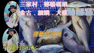 小龍fishing212郵輪碼頭金古amp三家村鱗遊走兩個地方滿足要求fishing0118 [upl. by Ecinad]