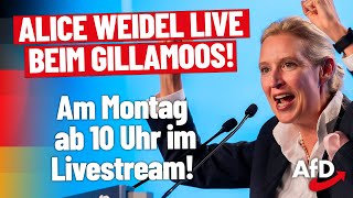 Alice Weidel LIVE beim politischen Gillamoos [upl. by Gardner]