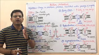 Class 452 Action Potential  Depolarization  Repolarization  Hyperpolarization  Medichem 01 [upl. by Qahsi]