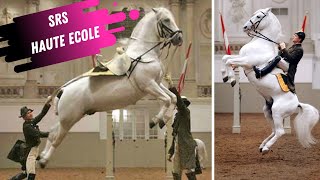 Spanish Riding School Haute Ecole Airs Above The Ground White Lipizzaner Stallions [upl. by Atiluj]