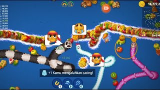 Rebutan lagi gaes worms zoneio [upl. by Imena]