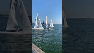 Sailboat convoy  PEI [upl. by Nylasej]