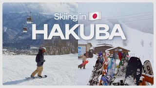 Watch this before going to Hakuba 🏂 [upl. by Ymmas]