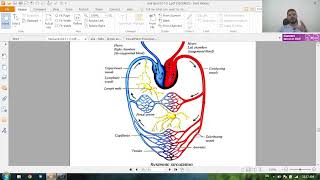 general anatomy  theoretical revision  part 2  مراجعة نظري الاناتومي [upl. by Annairol]