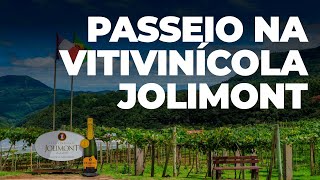 Conhecendo a Vinícola Jolimont em Canela [upl. by Pachston336]