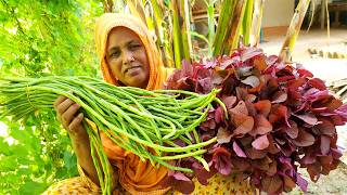 Farm Fresh Red Leaf Fry LAL SHAK VAJI লাল শাক ভাজি বরবটি ভর্তা Borboti Vorta Recipe Long Bean Paste [upl. by Edmon]