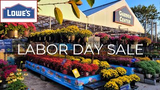 Lowes August Inventory Fall Plants Clearance amp Labor Day Sale [upl. by Alliscirp129]