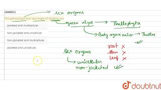 The gametangia and sporangia of Ulothrix are [upl. by Geiss]