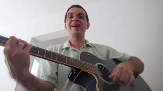 Lagrimas no olhar Marquinhos Gomes cover [upl. by Arden44]