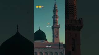 allahhuakbar Islamic video sohltsviral 🕋🕋🤲🤲🕌🕌 [upl. by Astto]