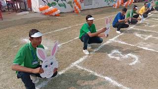 Carrot and rabbit race [upl. by Hevak]