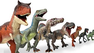 GIANT Haul of the BEST Jurassic World Carnivores  TRex Indominus Rex Velociraptor and More [upl. by Akessej]