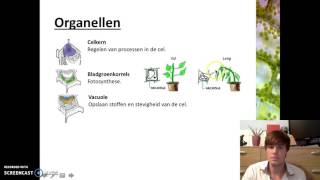 Organen en cellen  Plantaardige cellen [upl. by Guerin3]