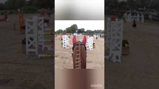 Les fleurs Lattes horse equitation jumping saut cheval equestrian riding [upl. by Nyliac]