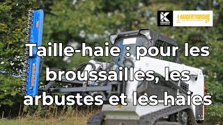 Taillehaie Auger Torque  idéal pour les haies les broussailles et les arbustes  MAXIMA SARL [upl. by Delgado]