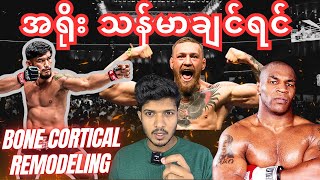 အရိုး သန်မာချင်ရင် Bone Cortical Remodeling chitminvlogger [upl. by Alleul]